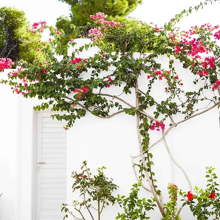 Marpunta Resort, Santikos Collection Hotel Marpounta