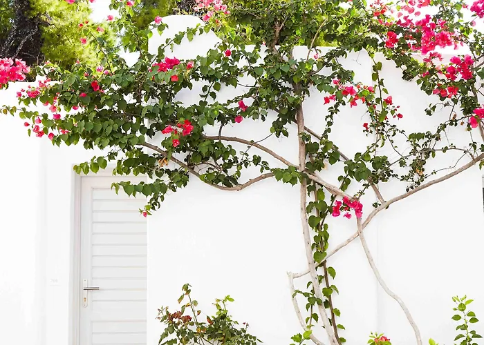 Marpunta Resort, Santikos Collection Hotel Marpounta